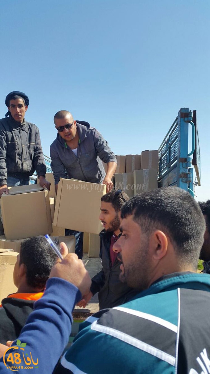 syrian torod (4).jpg